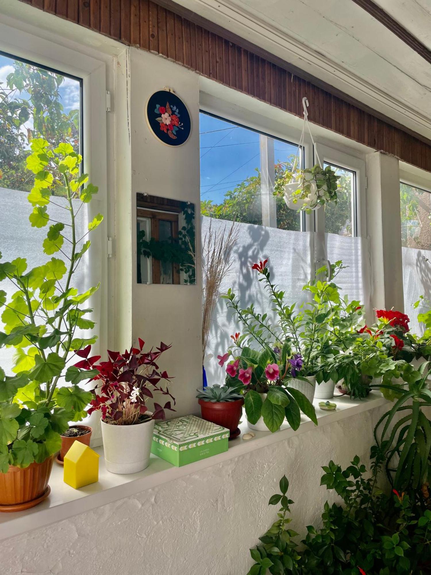 Gulnara Guest House Balykchy Luaran gambar